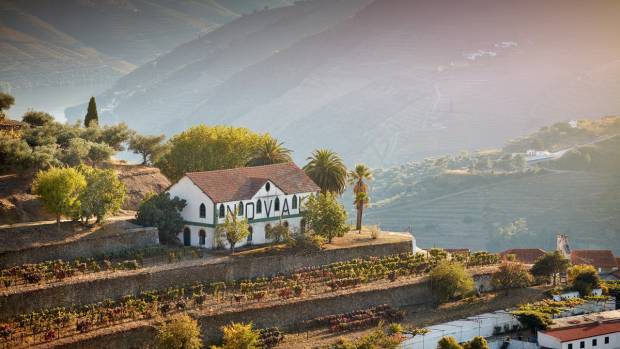 Quinta do Noval